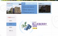 盛林蓝莓企业，首页banner FLASH网站